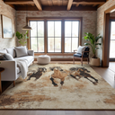Canter Rugs