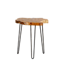 Teak Root Slab End Table