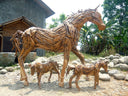 Teak Root Driftwood Baby Horse
