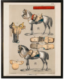 Horse bookplate c