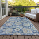 Meadow Run CBMR634 Blue Rug