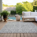 Meadow Run CBMR920 Gray Rug