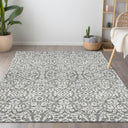 Meadow Run CBMR920 Gray Rug