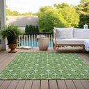 Meadow Run CBMR931 Green Rug
