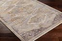 Aida AAD-2303 Beige / Gray Rug