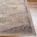 Aida AAD-2303 Beige / Gray Rug