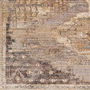 Aida AAD-2303 Beige / Gray Rug