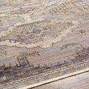 Aida AAD-2303 Beige / Gray Rug