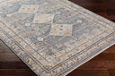 Aida AAD-2305 Beige / Charcoal Rug