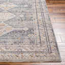 Aida AAD-2305 Beige / Charcoal Rug
