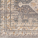 Aida AAD-2305 Beige / Charcoal Rug