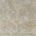 Antalya AAT-2301 Brown / Dark Brown Rug