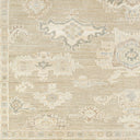 Antalya AAT-2305 Charcoal / Gray Rug