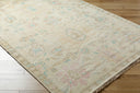 Antalya AAT-2307 Blue / Dark Brown Rug