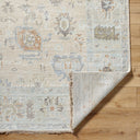 Antalya AAT-2314 Beige / Dark Brown Rug