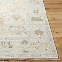 Antalya AAT-2314 Beige / Dark Brown Rug