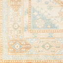Anadolu AAU-2309 Beige / Cream Rug