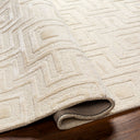 Addison ADD-2300 Ivory Rug