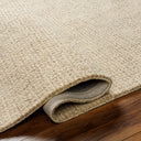 Aiden AEN-1000 Ivory / Tan Rug