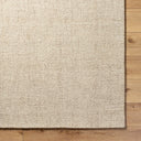 Aiden AEN-1000 Ivory / Tan Rug