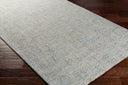 Aiden AEN-1001 Cream / Light Blue Rug