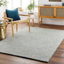 Aiden AEN-1001 Cream / Light Blue Rug
