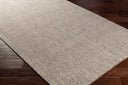 Aiden AEN-1005 Gray / Ivory Rug