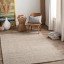 Aiden AEN-1005 Gray / Ivory Rug