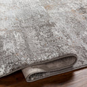 Allegro Plus AGP-2301 Amber / Charcoal Rug