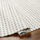Ariel AIL-2301 Medium Gray / Taupe Rug