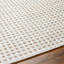 Ariel AIL-2301 Medium Gray / Taupe Rug