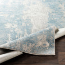 Aisha AIS-2301 Gray / Light Blue Rug