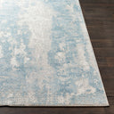 Aisha AIS-2301 Gray / Light Blue Rug