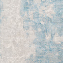 Aisha AIS-2301 Gray / Light Blue Rug
