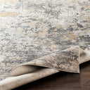 Aisha AIS-2303 Charcoal / Gray Rug