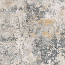 Aisha AIS-2303 Charcoal / Gray Rug