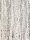 Aisha AIS-2304 Charcoal / Gray Rug