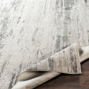 Aisha AIS-2304 Charcoal / Gray Rug