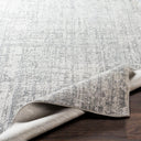 Aisha AIS-2305 Gray / Light Gray Rug