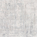Aisha AIS-2305 Gray / Light Gray Rug