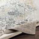 Aisha AIS-2308 Charcoal / Gray Rug