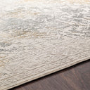Aisha AIS-2308 Charcoal / Gray Rug