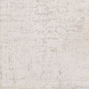 Aisha AIS-2309 Gray / Off-White Rug