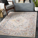 Ankara AKR-2301 Charcoal / Cream Rug