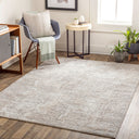 Allegro ALG-2320 Ivory / Light Gray Rug