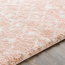Aliyah Shag ALH-2300 Blush / Cream Rug