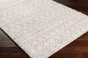 Aliyah Shag ALH-2301 Blush / Cream Rug