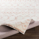 Aliyah Shag ALH-2301 Blush / Cream Rug