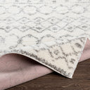 Aliyah Shag ALH-2302 Cream / Gray Rug