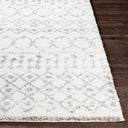 Aliyah Shag ALH-2302 Cream / Gray Rug